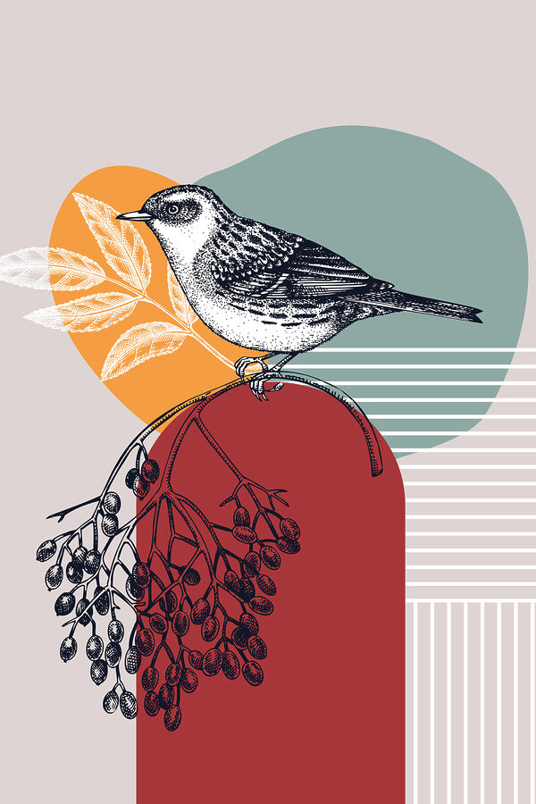 A bird on a branch