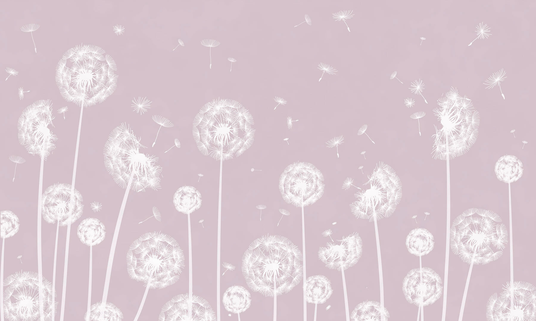 w00657v1p - Un dente di leone bianco che vola nell'aria - tegory