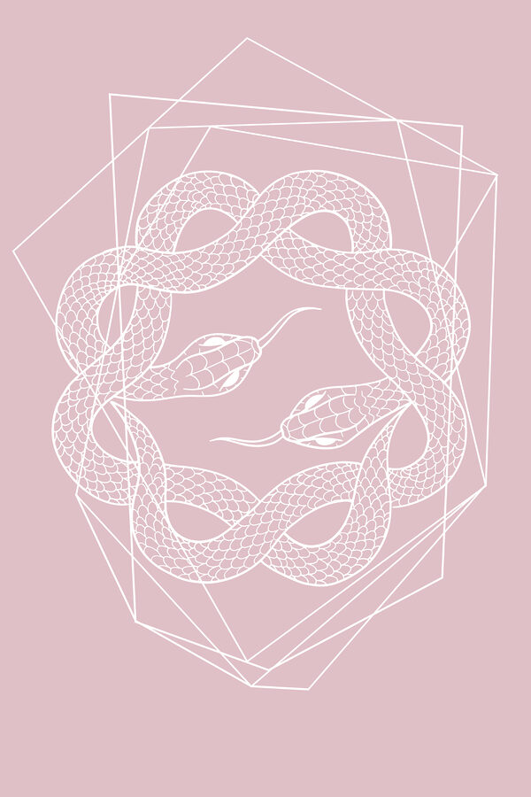 A white snake in a circle A white snake in a circle