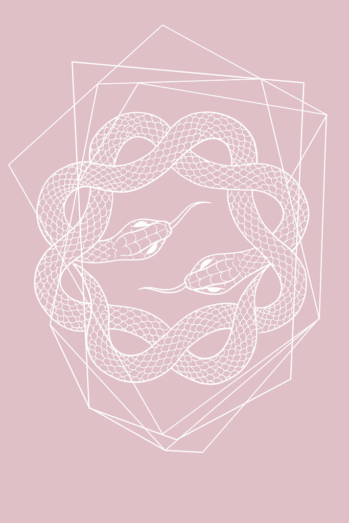 A white snake in a circle A white snake in a circle