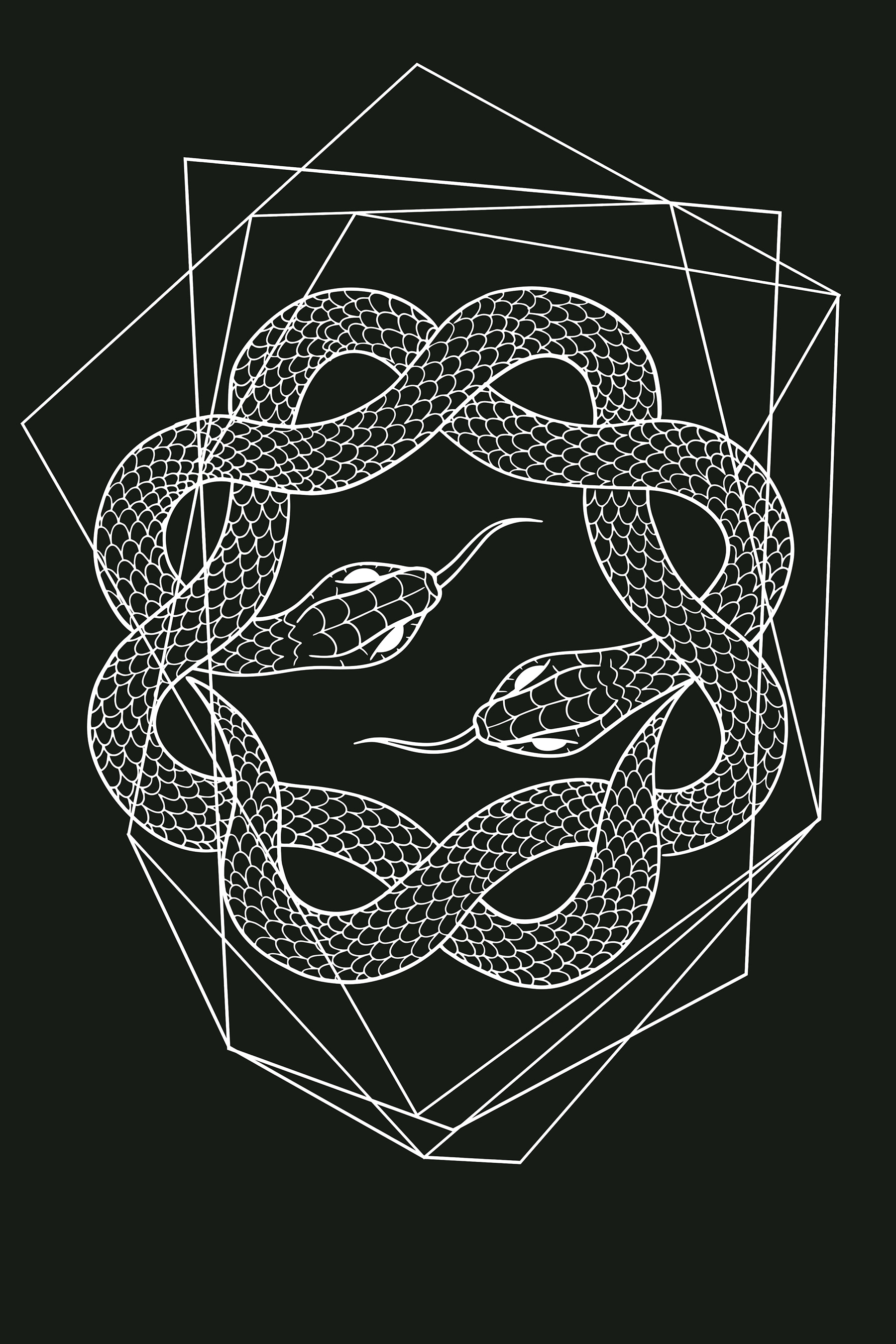 A white snake in a circle