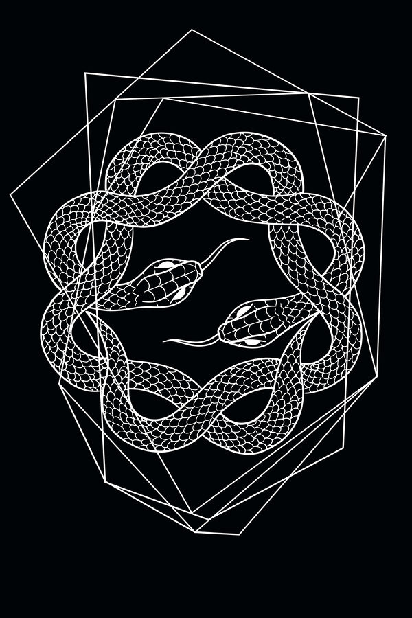 A white snake in a circle
