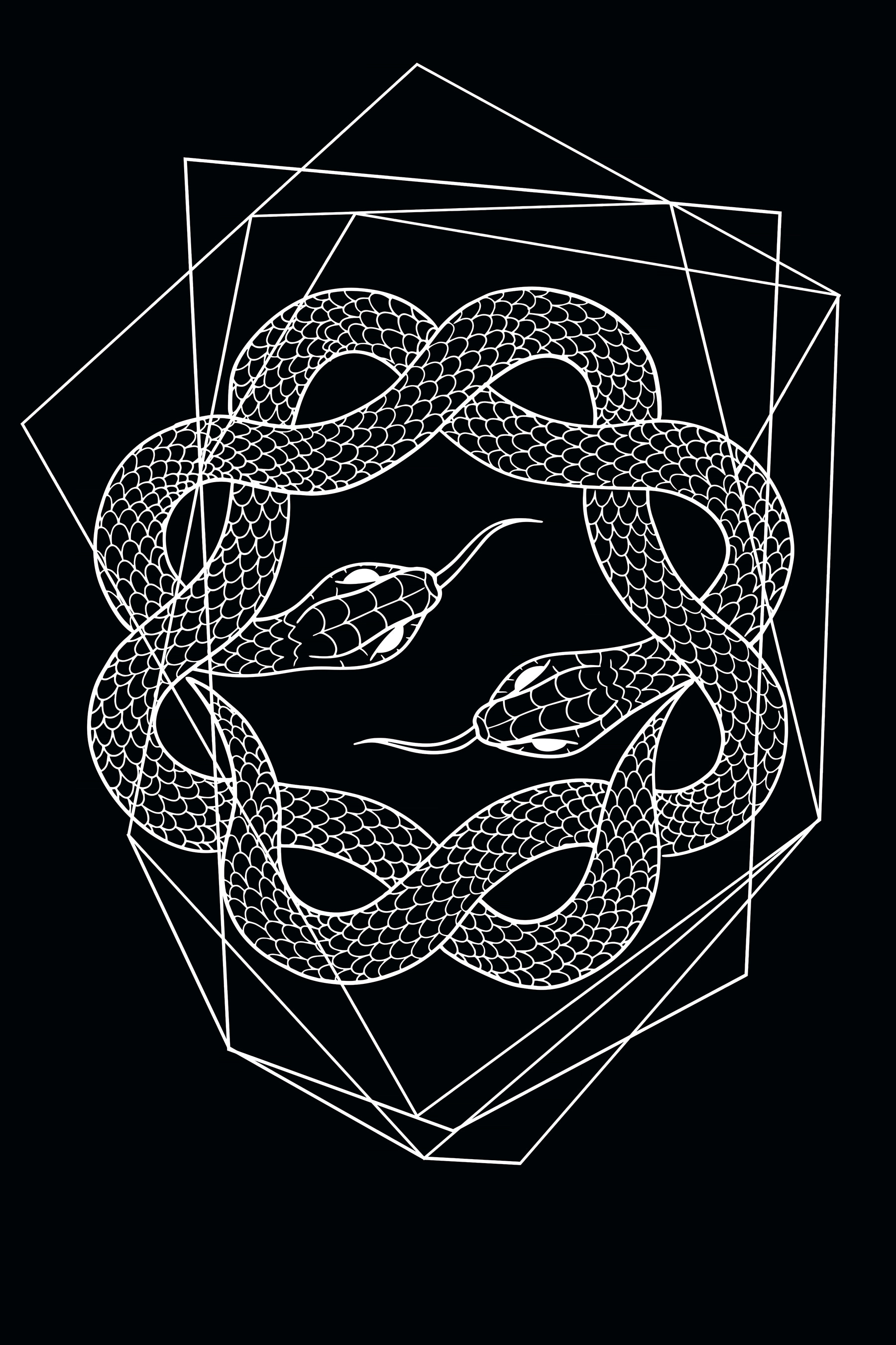 A white snake in a circle