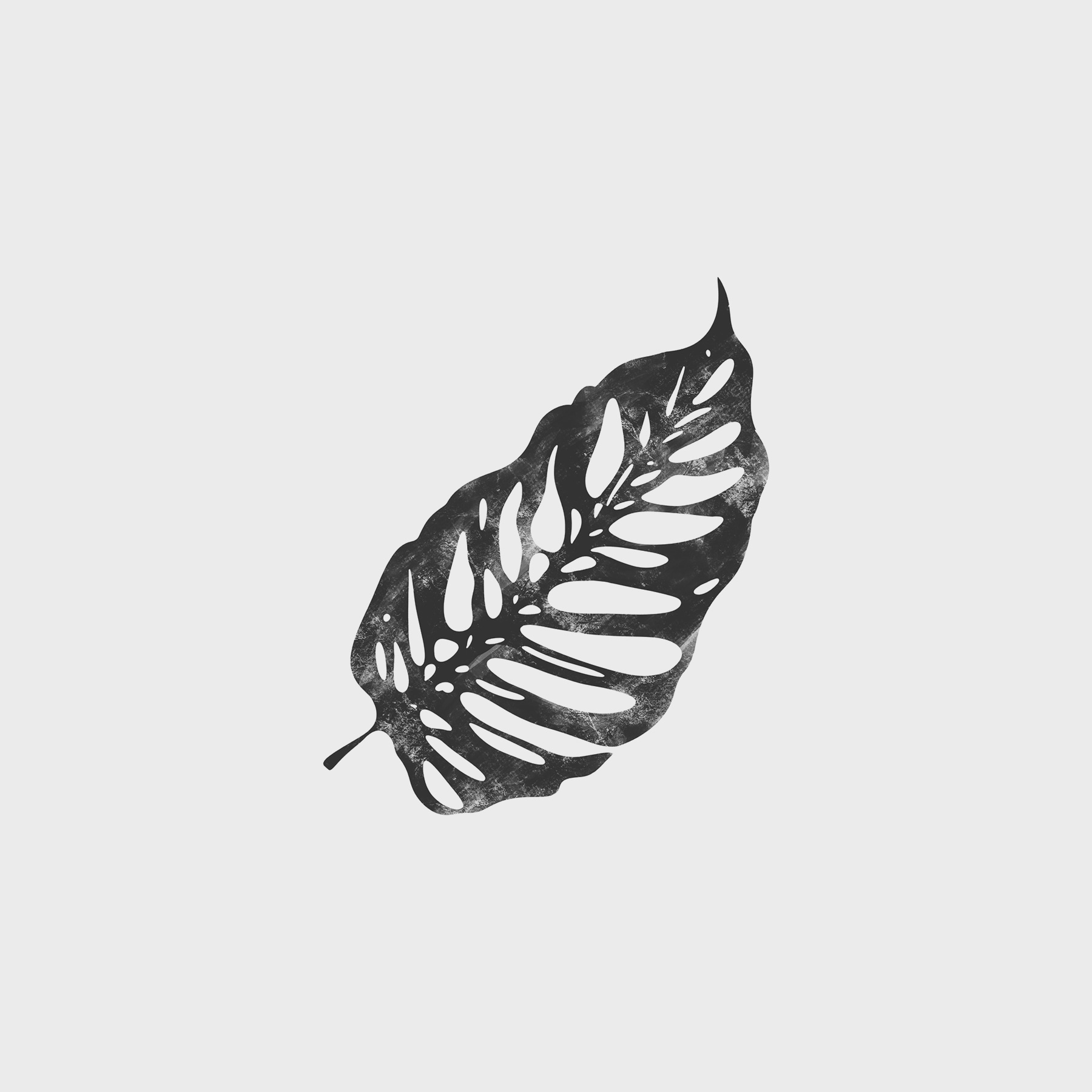 A black leaf on a white background