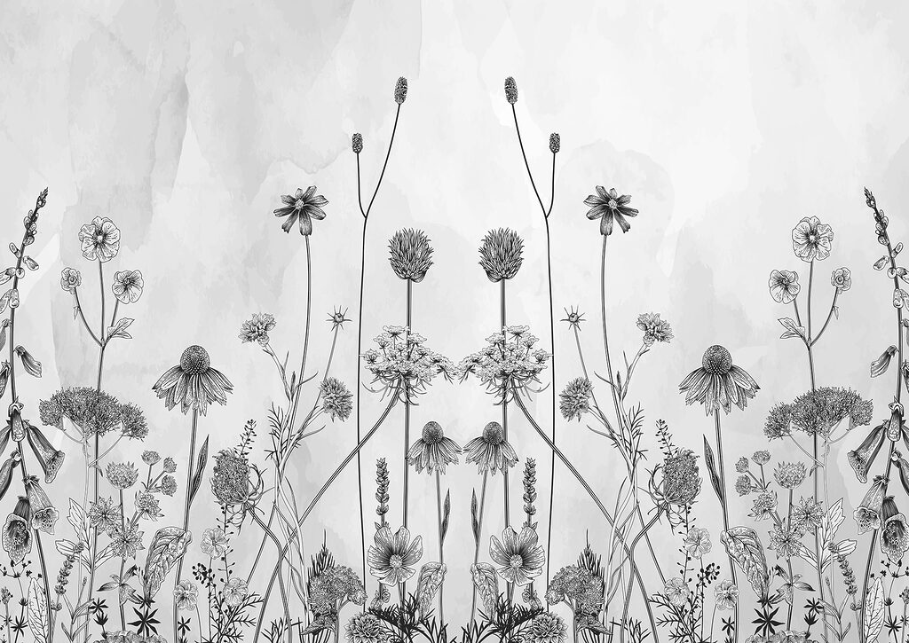 Un disegno di fiori e piante Un disegno di fiori e piante