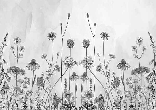 Un disegno di fiori e piante Un disegno di fiori e piante