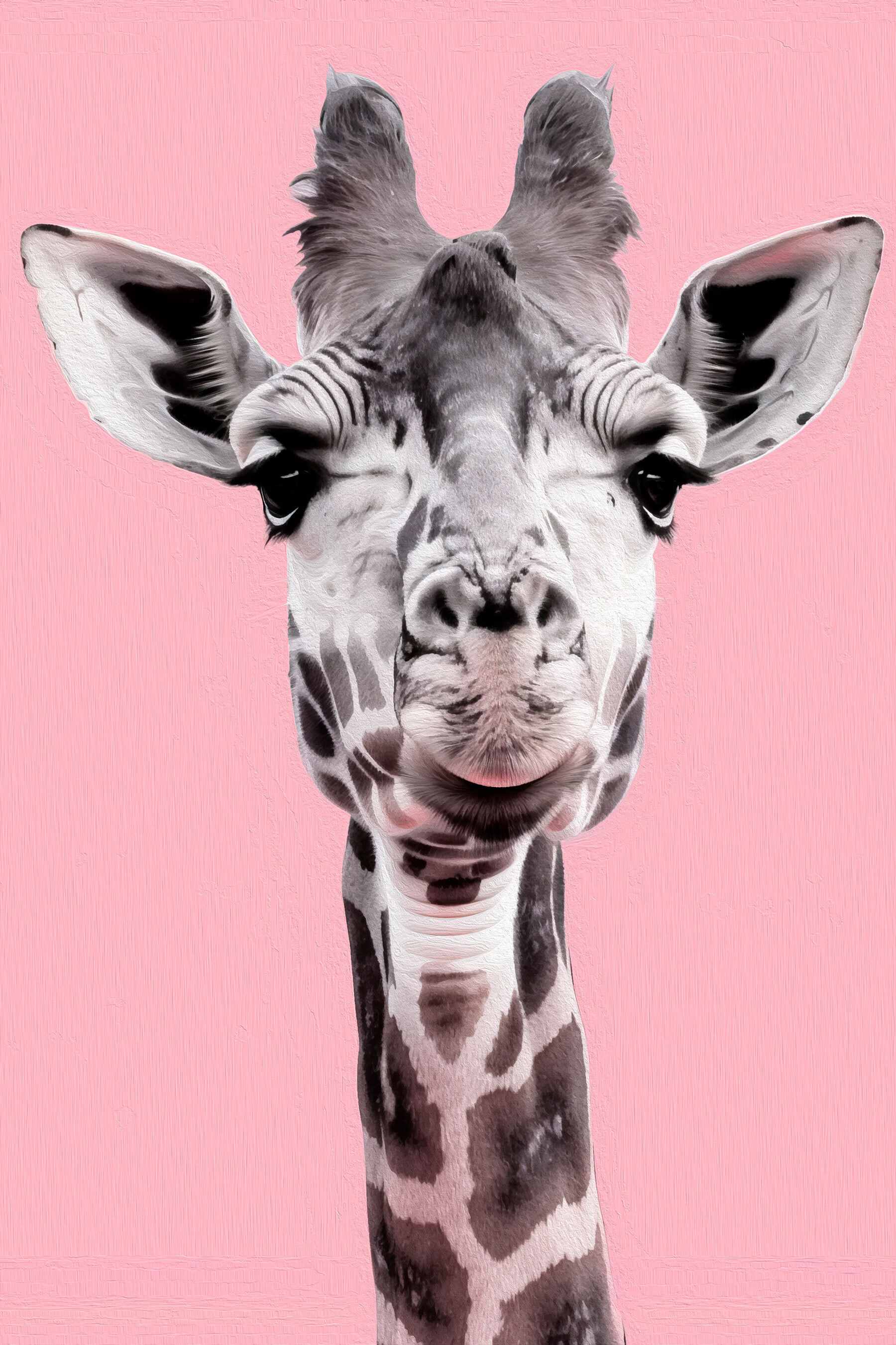 A giraffe with a pink background A giraffe with a pink background