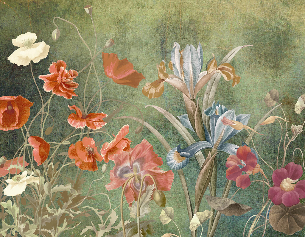 Un primo piano di fiori Un primo piano di fiori