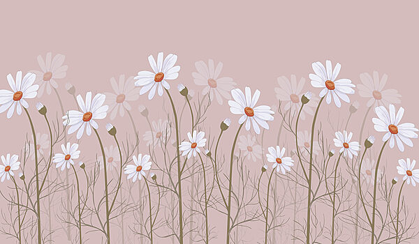 Un gruppo di fiori bianchi Un gruppo di fiori bianchi