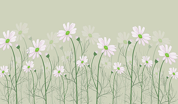 Un gruppo di fiori bianchi Un gruppo di fiori bianchi