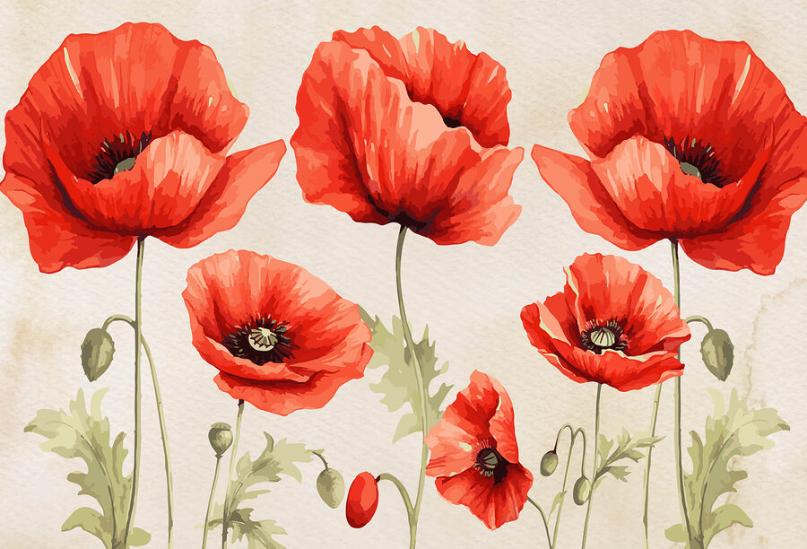 Un gruppo di fiori rossi