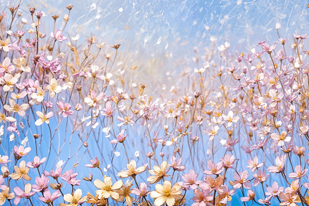 A group of flowers on a clear surface