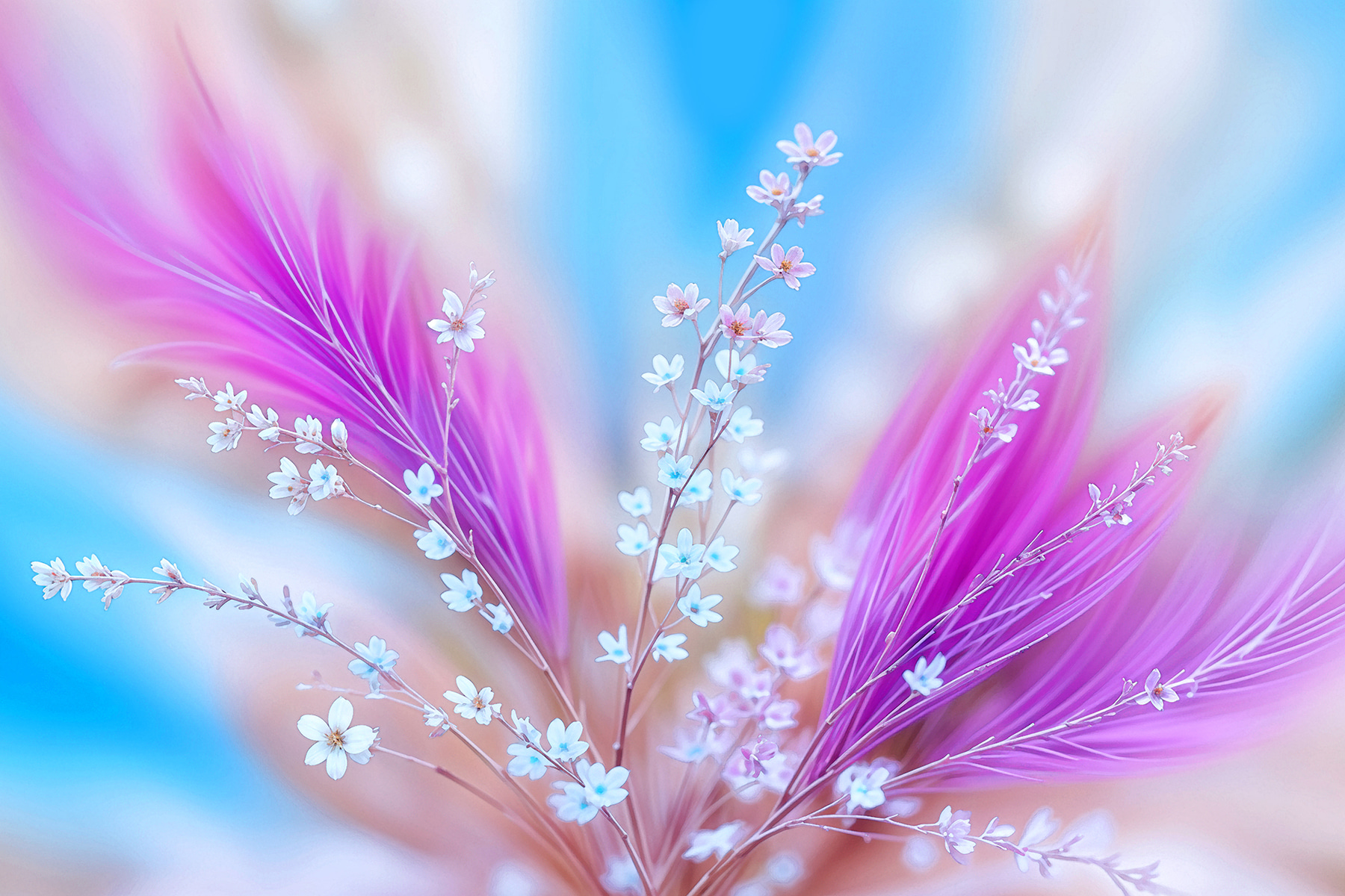 A close up of flowers
