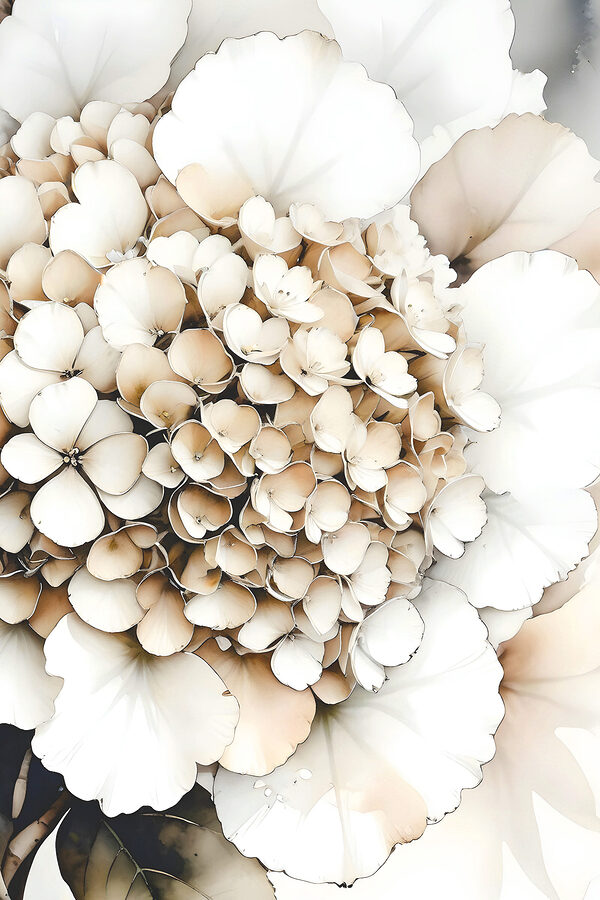 A close up of a bunch of white flowers A close up of a bunch of white flowers