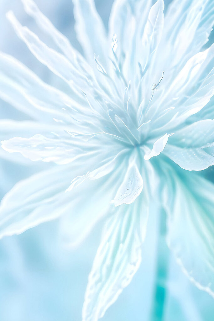 A close up of a flower