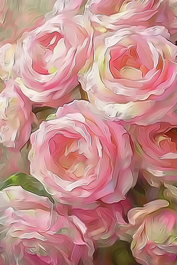 A close up of a bunch of pink flowers A close up of a bunch of pink flowers