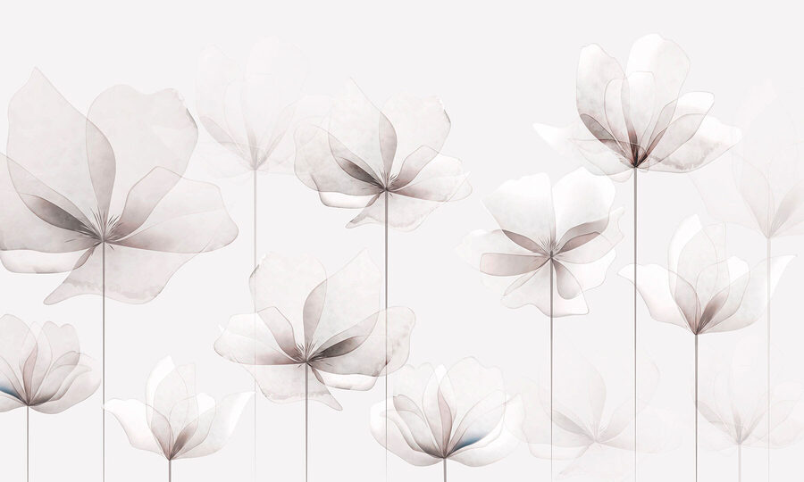 Un gruppo di fiori bianchi