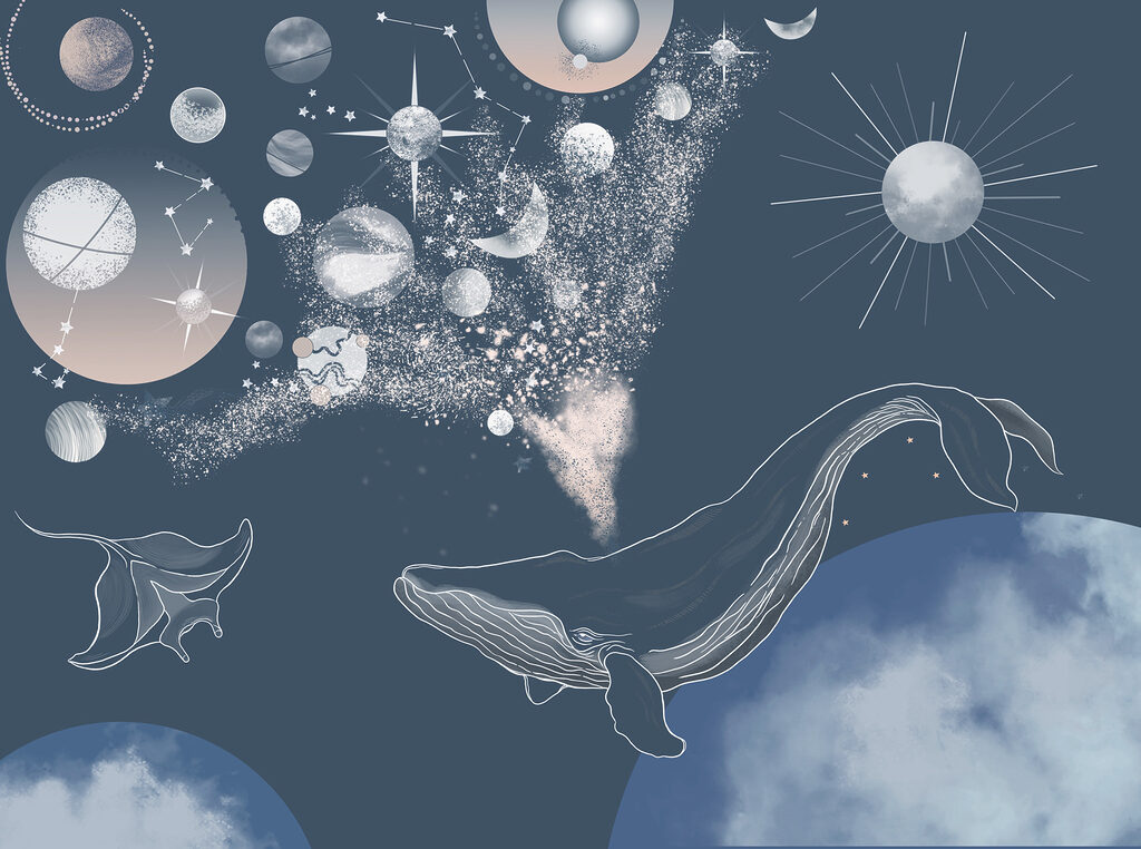 Una balena e i pianeti nel cielo Una balena e i pianeti nel cielo