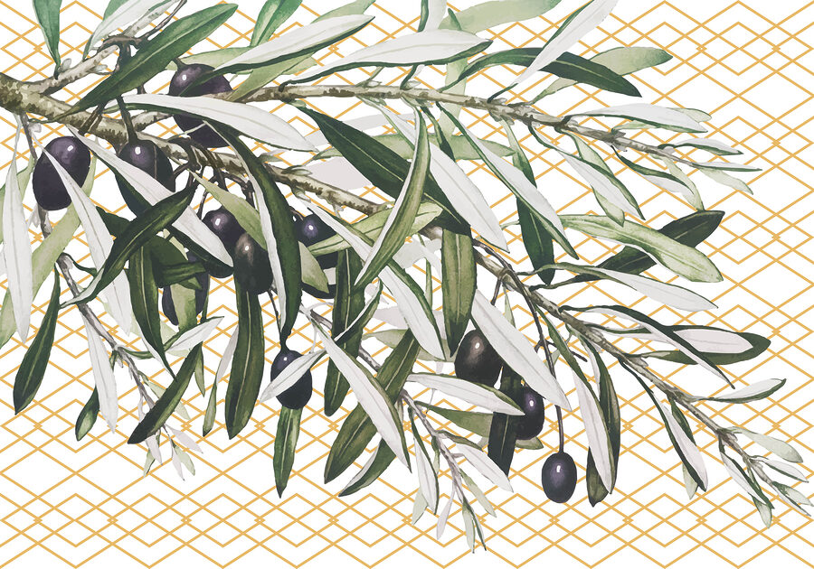 Carta da parati Un ramo con olive nere e foglie - immagine 3