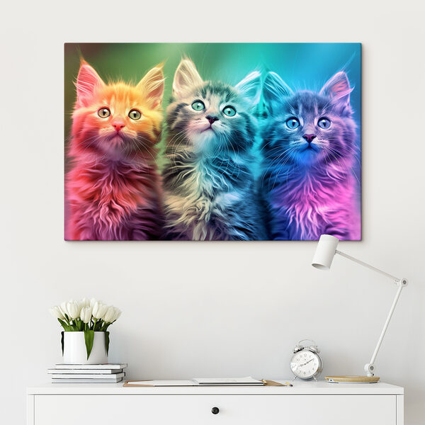 Quadri Un gruppo di gattini che guardano in alto