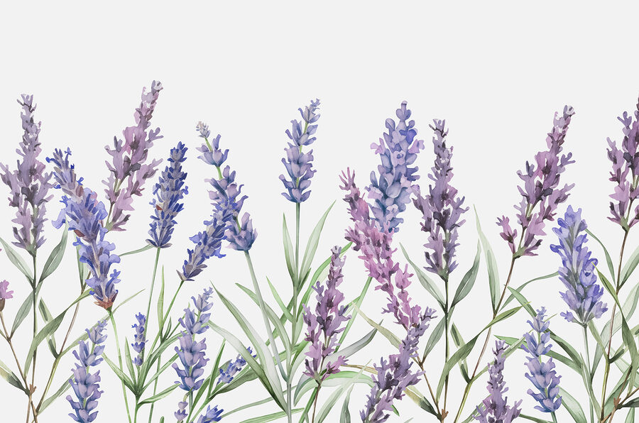 Una fila di fiori viola