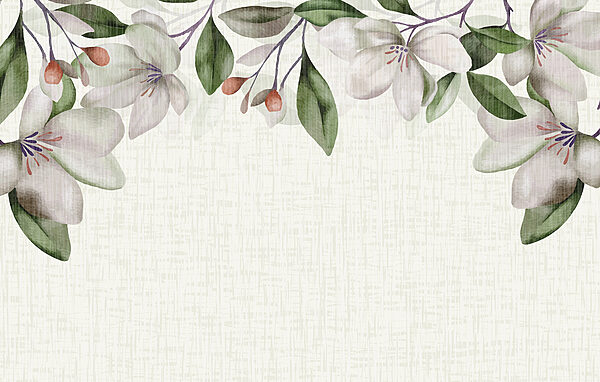 A white flowers and green leaves