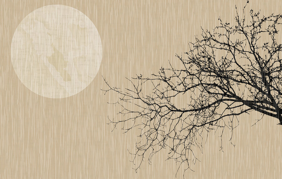 Un albero senza foglie