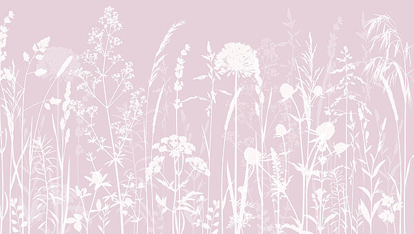 A white silhouettes of flowers
