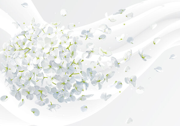 Un fiore bianco che vola nell'aria Un fiore bianco che vola nell'aria