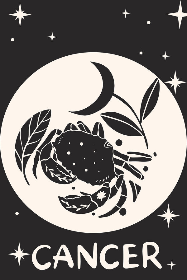 A black and white drawing of a crab and a plant