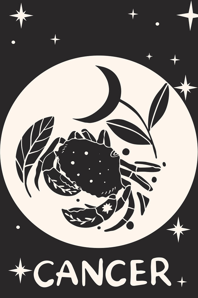 A black and white drawing of a crab and a plant