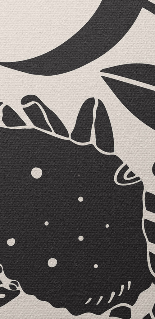 A black and white drawing of a crab and a plant