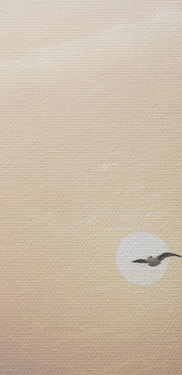 A seagull flying over water