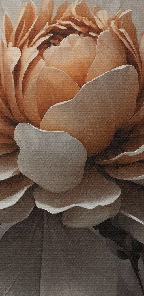 Delicate flower with soft petals Delicate flower with soft petals