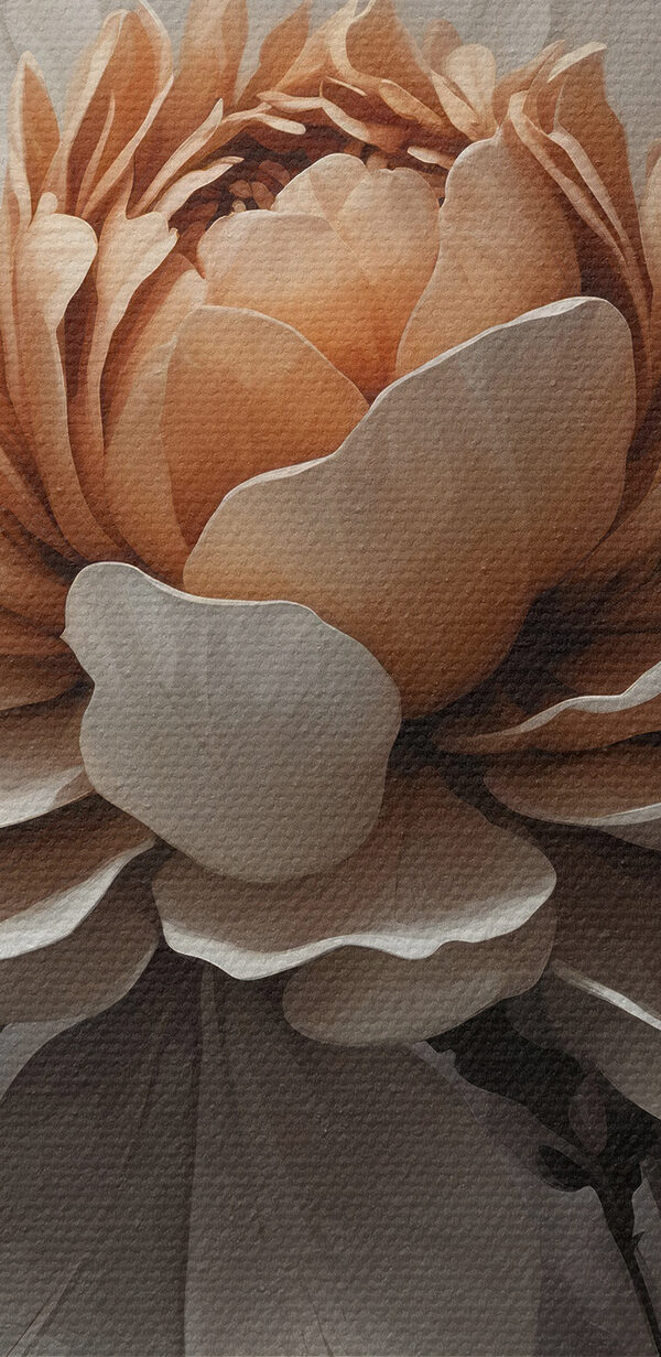 Delicate flower with soft petals Delicate flower with soft petals