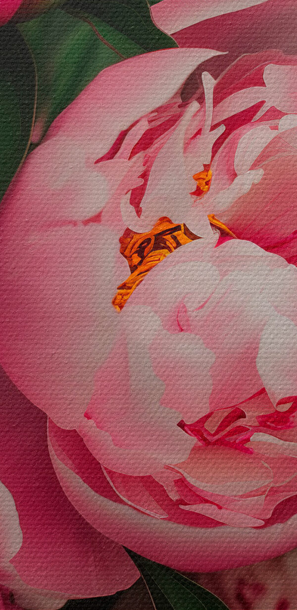 A group of pink flowers