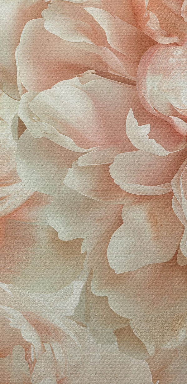 A group of white flowers
