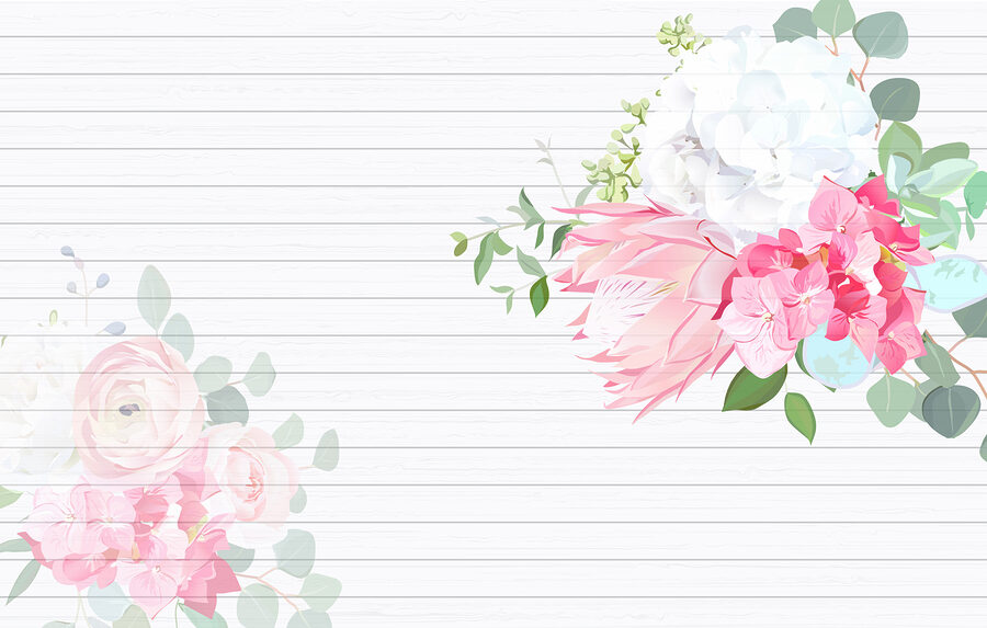 Fiori bianchi e rosa su sfondo bianco
