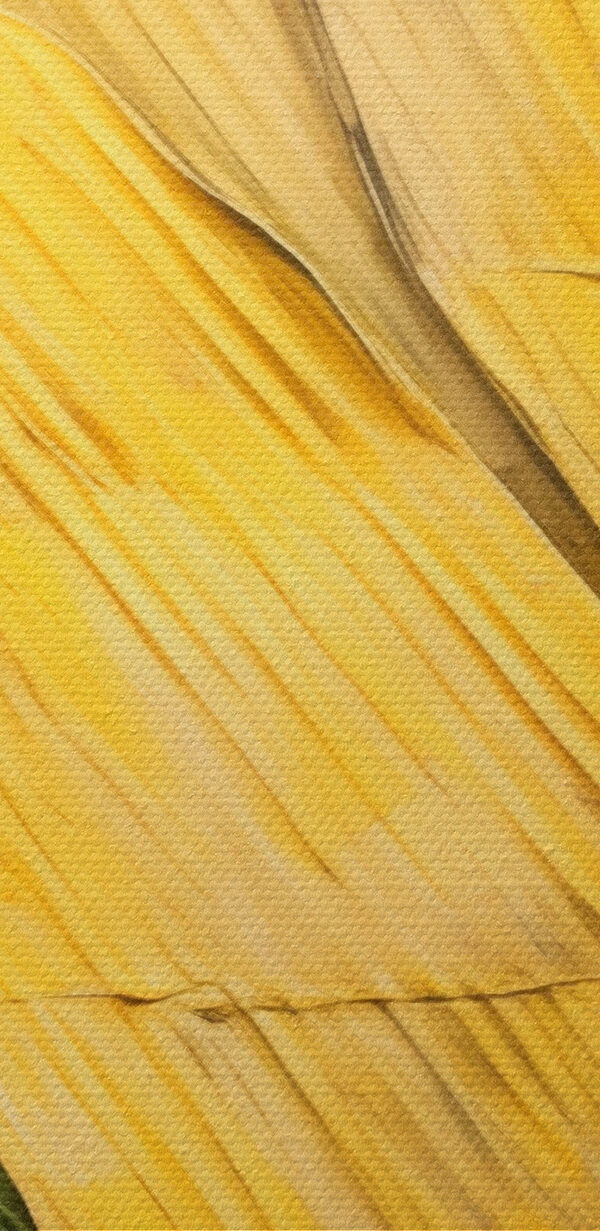 A close up of a colorful surface A close up of a colorful surface