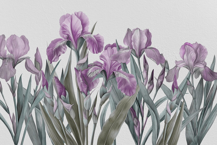 Un gruppo di fiori viola