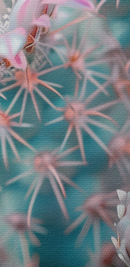 A close up of flowers