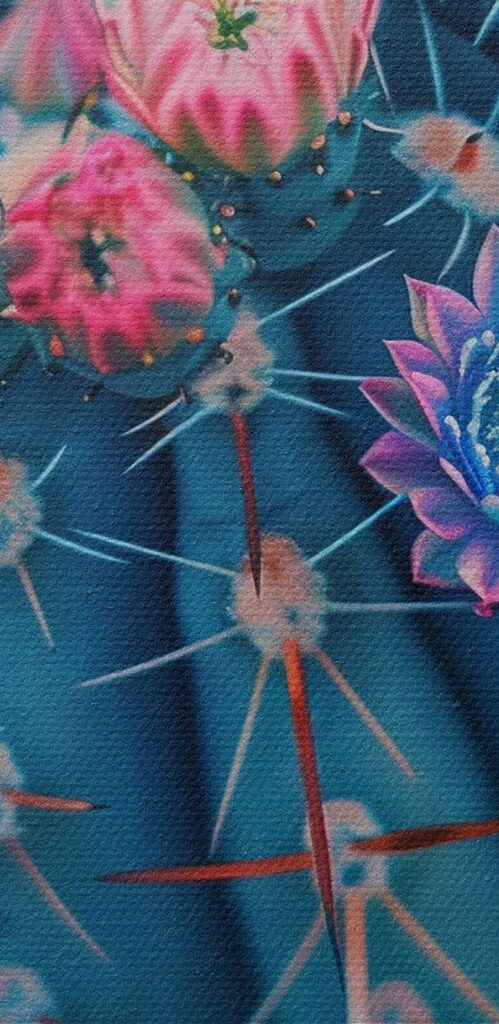 A close up of a cactus