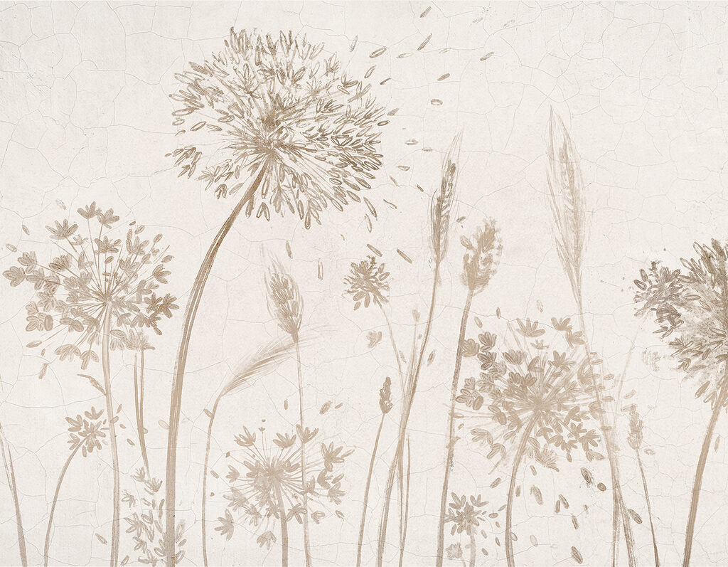 Disegno di denti di leone e grano Disegno di denti di leone e grano