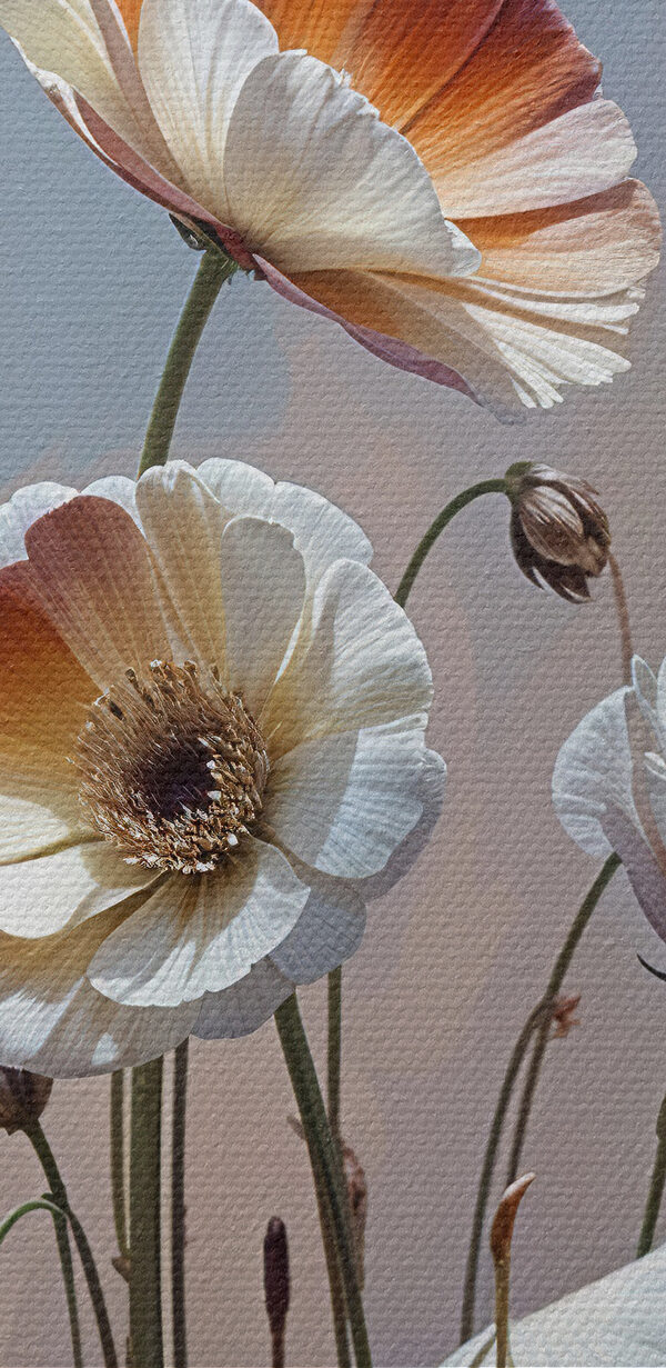 Group of white and orange flowers