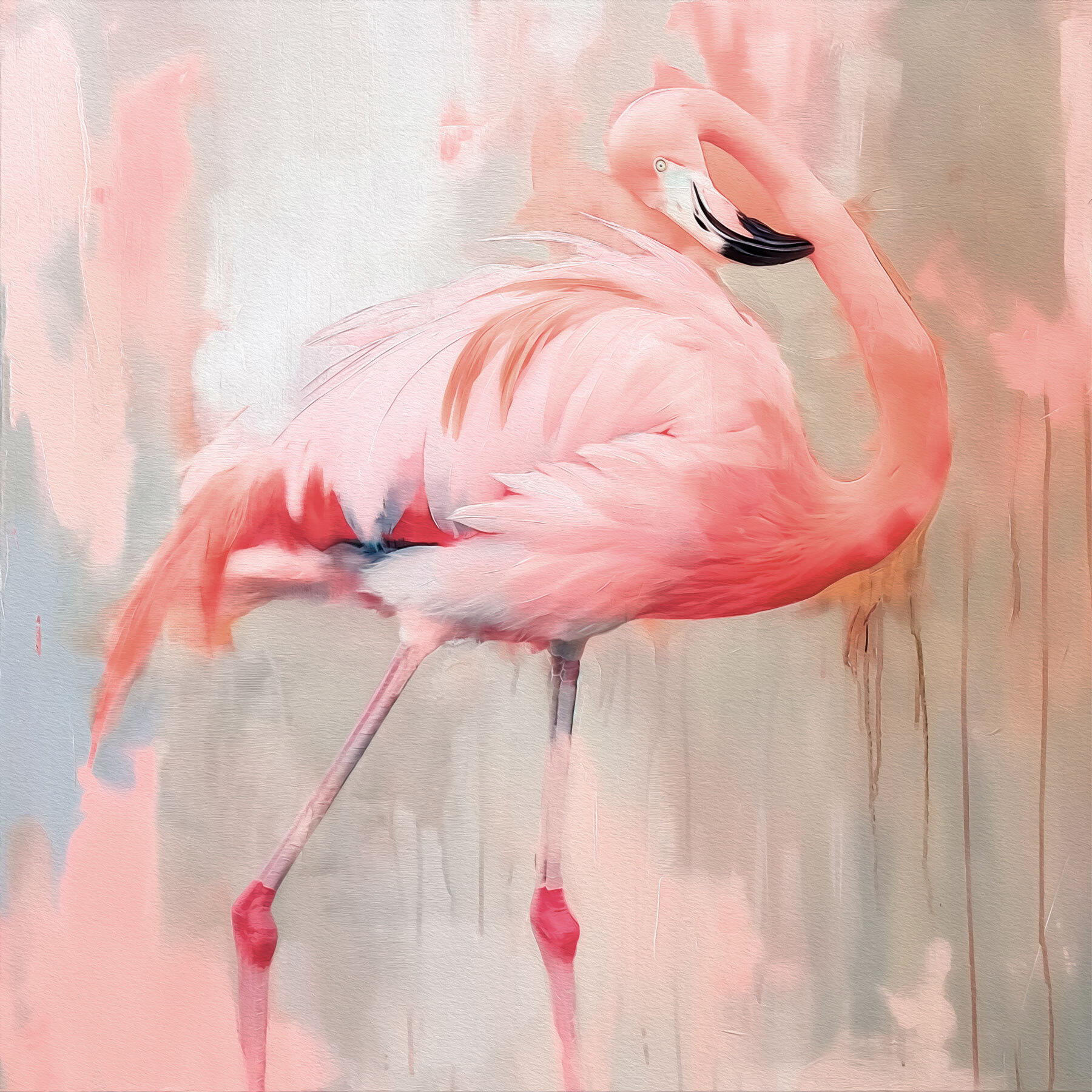 Pink flamingo with long legs Pink flamingo with long legs