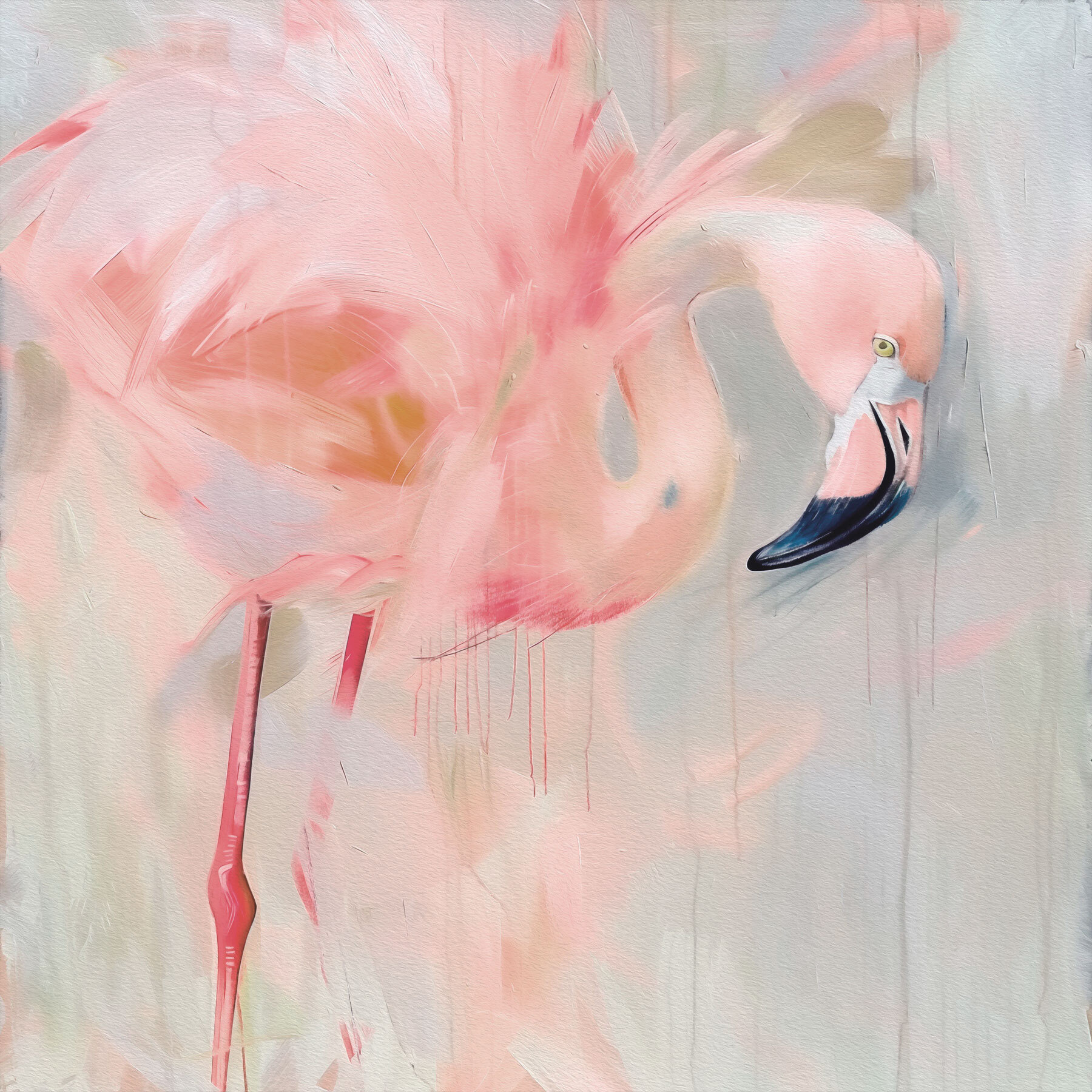 Pink flamingo with long legs Pink flamingo with long legs