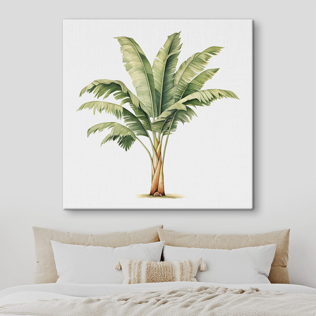 Palm tree with large leaves Palm tree with large leaves