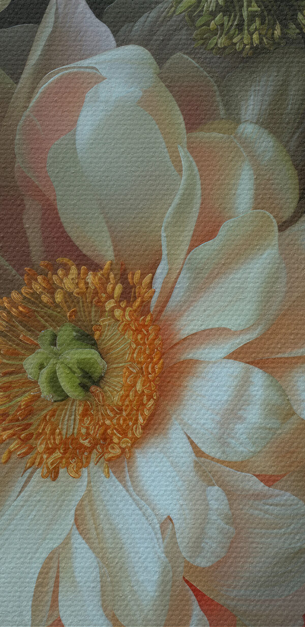 Close up of flowers