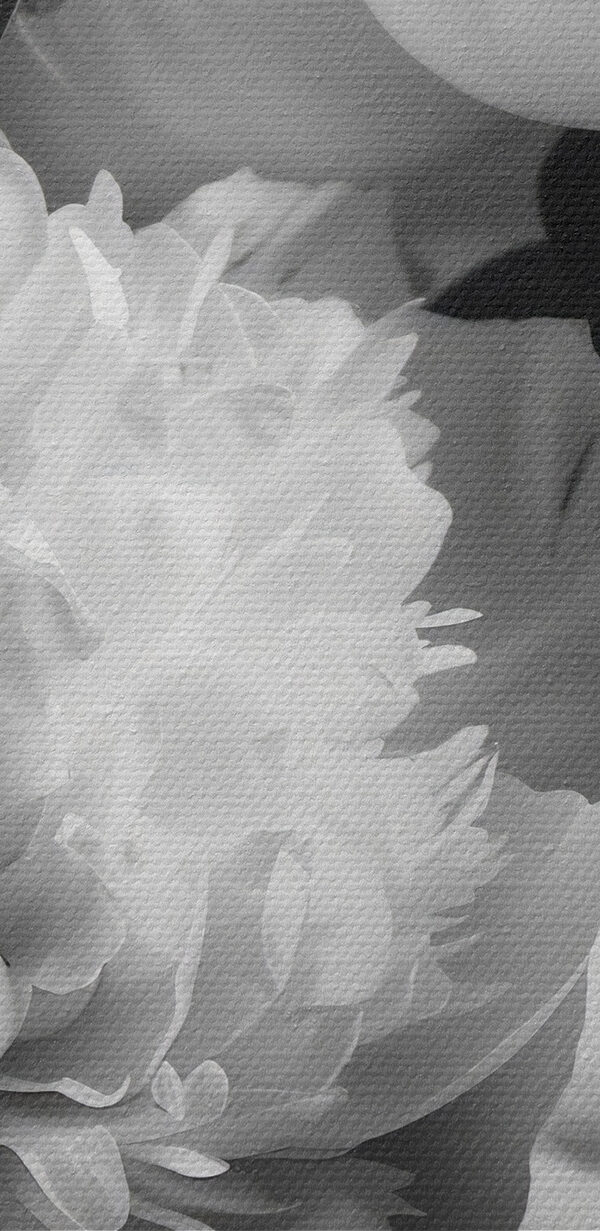 Group of white flowers
