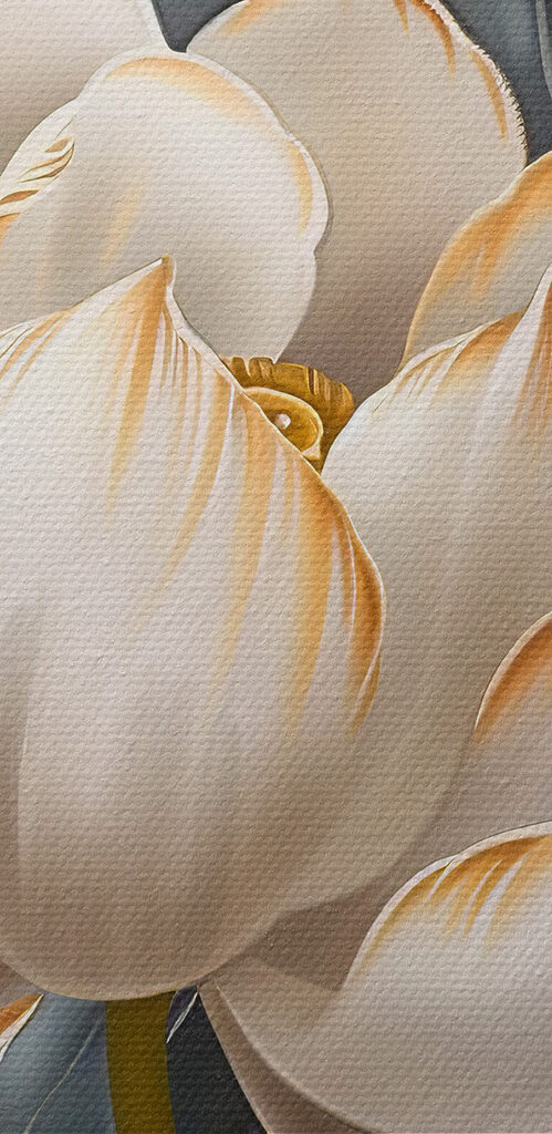 Close up of a flower